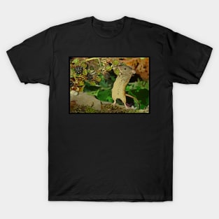 The mouse that lives by the Brambles T-Shirt